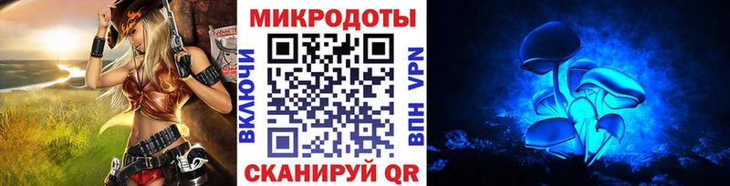 Купить  Буй  Псилоцибиновые грибы Cubensis 